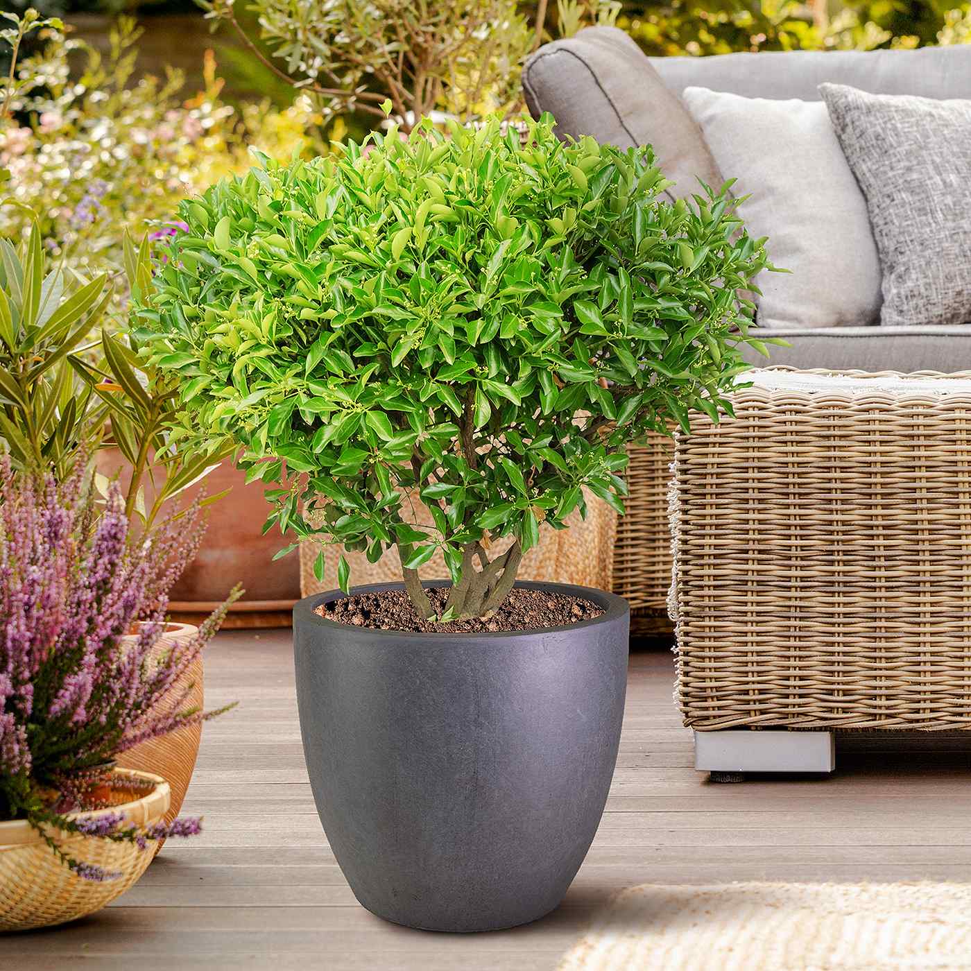 IDEALIST Lite 40cm Garden Planter | Washed Light Concrete Egg Round Planter | Contemporary Outdoor Plant Pot D40 H40 cm, 50L