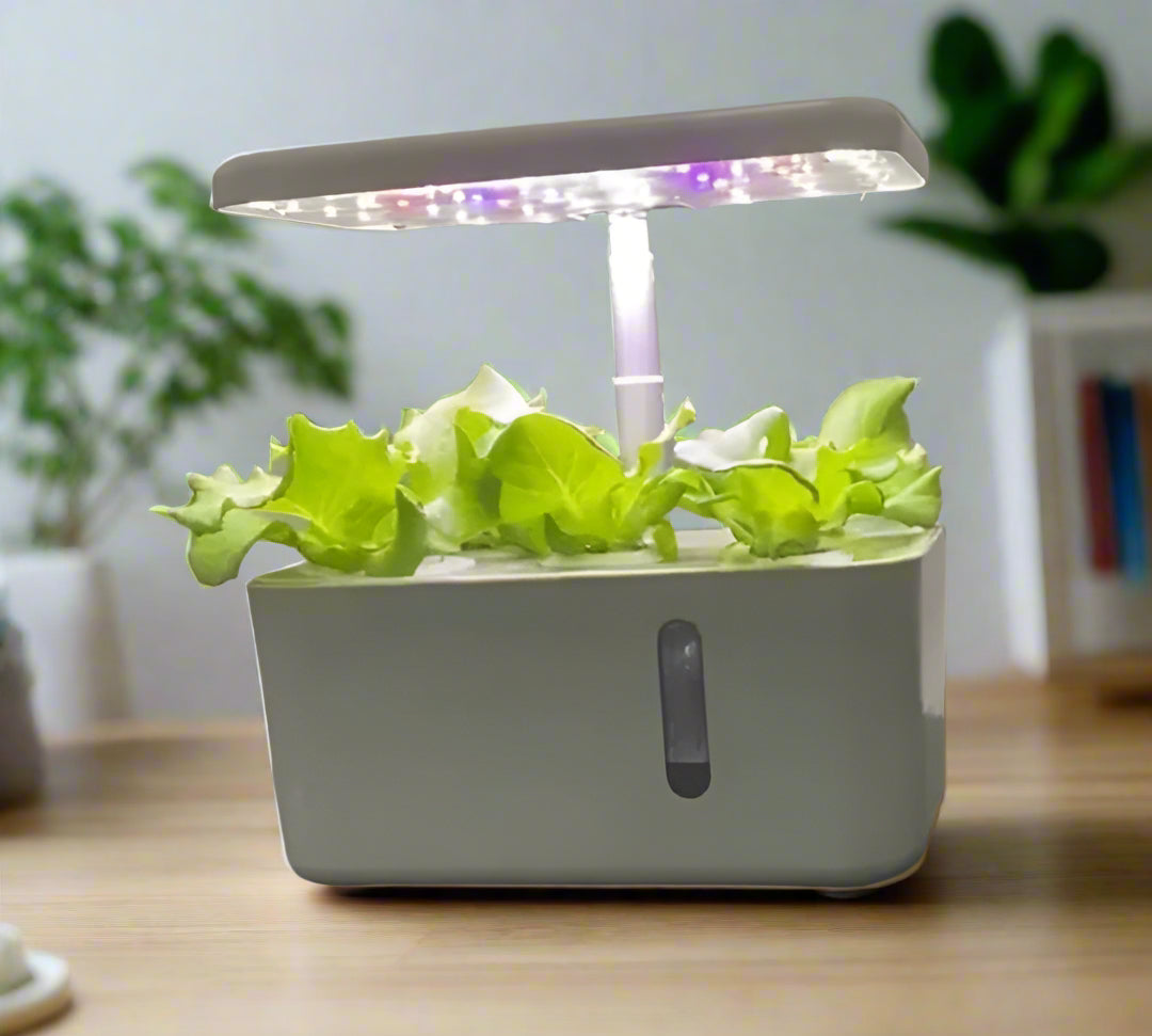 5 Pod Smart Garden Mini