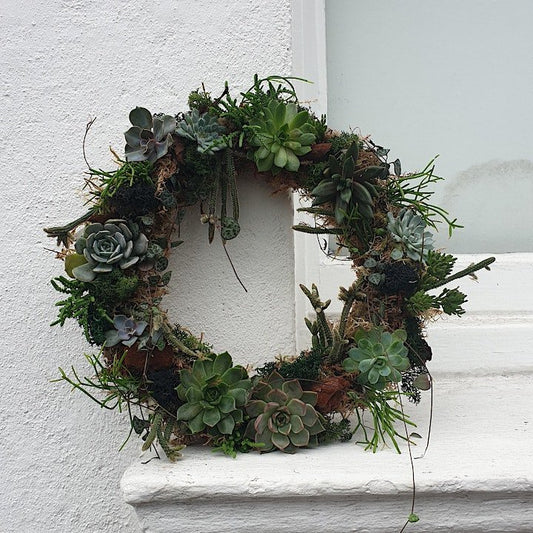 02/04/2026 at 6pm Living succulent wreath workshop