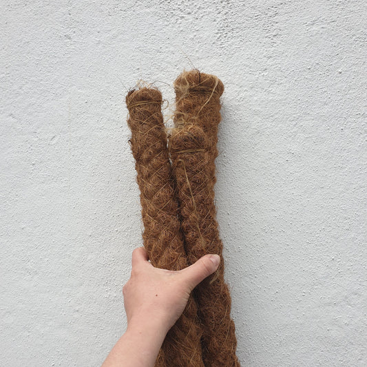 Moss pole- 5 sizes 50cm 80cm,100cm, 120cm, 150cm