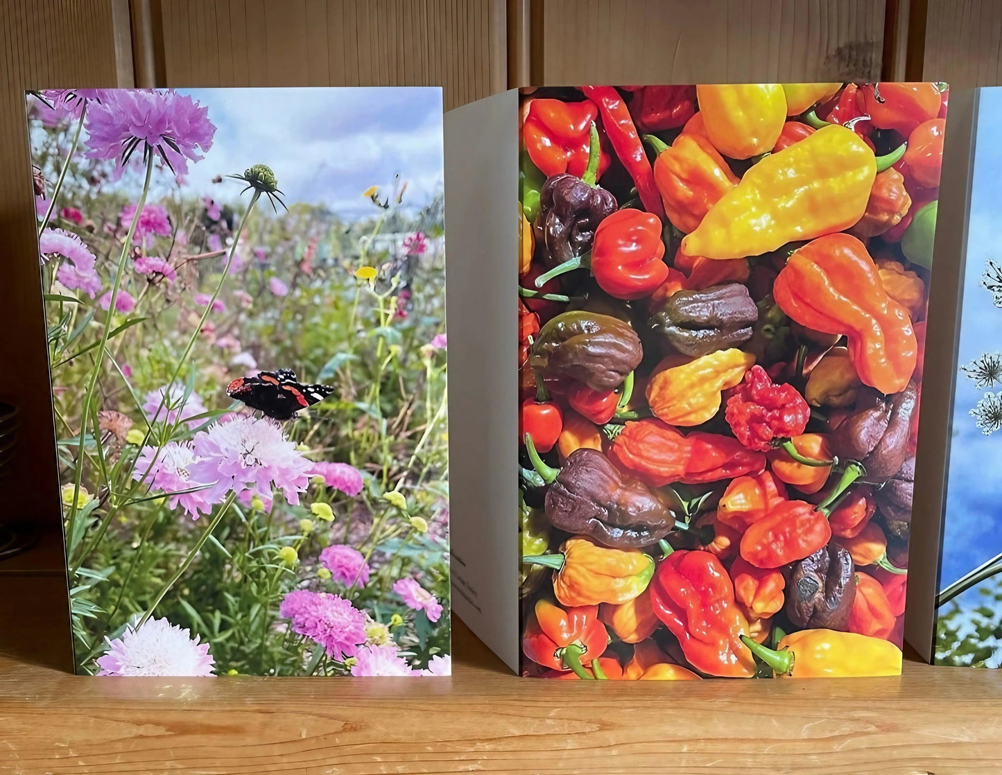 Chilli Rainbow Greeting Card