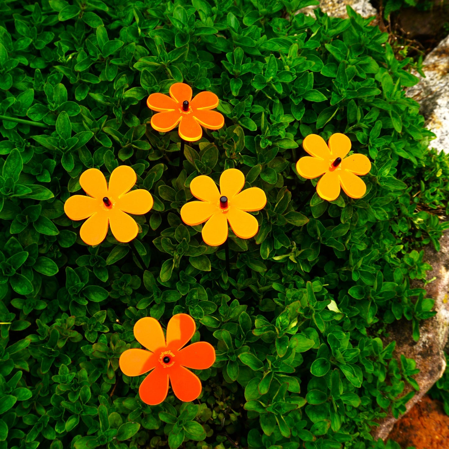 Small Garden Décor Ornaments Set of 5 Daisy