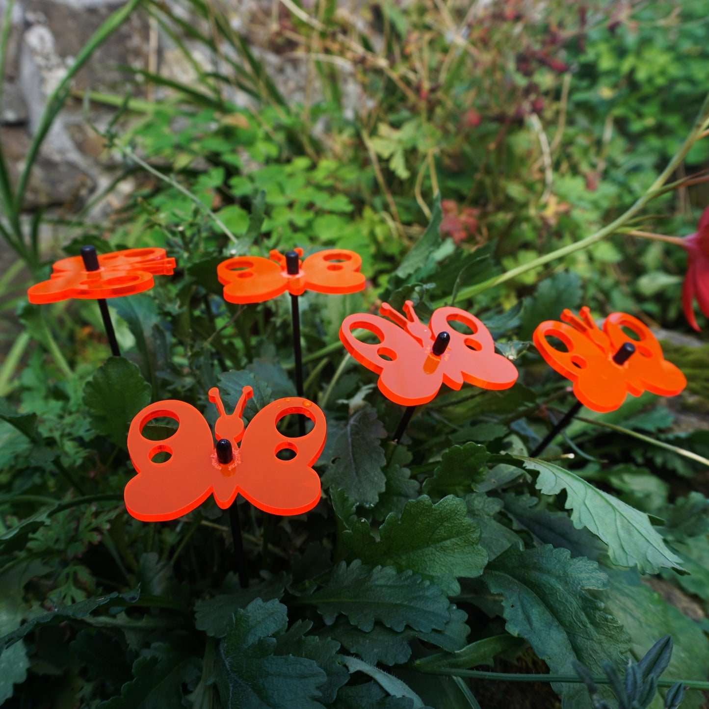 Small Garden Décor Ornaments Set of 5 'Peacock Butterfly'