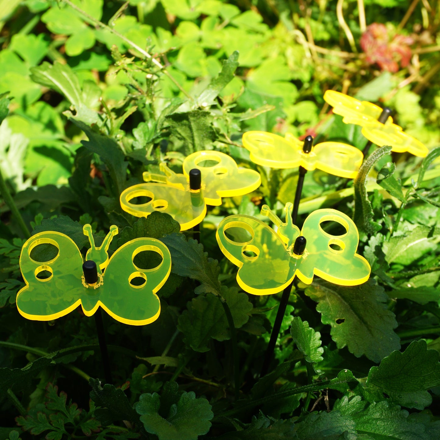 Small Garden Décor Ornaments Set of 5 'Peacock Butterfly'