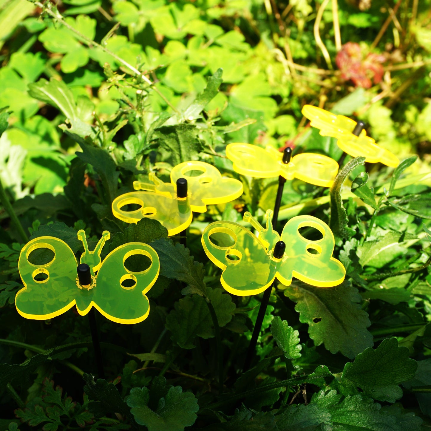 Small Garden Décor Ornaments Set of 5 'Peacock Butterfly'