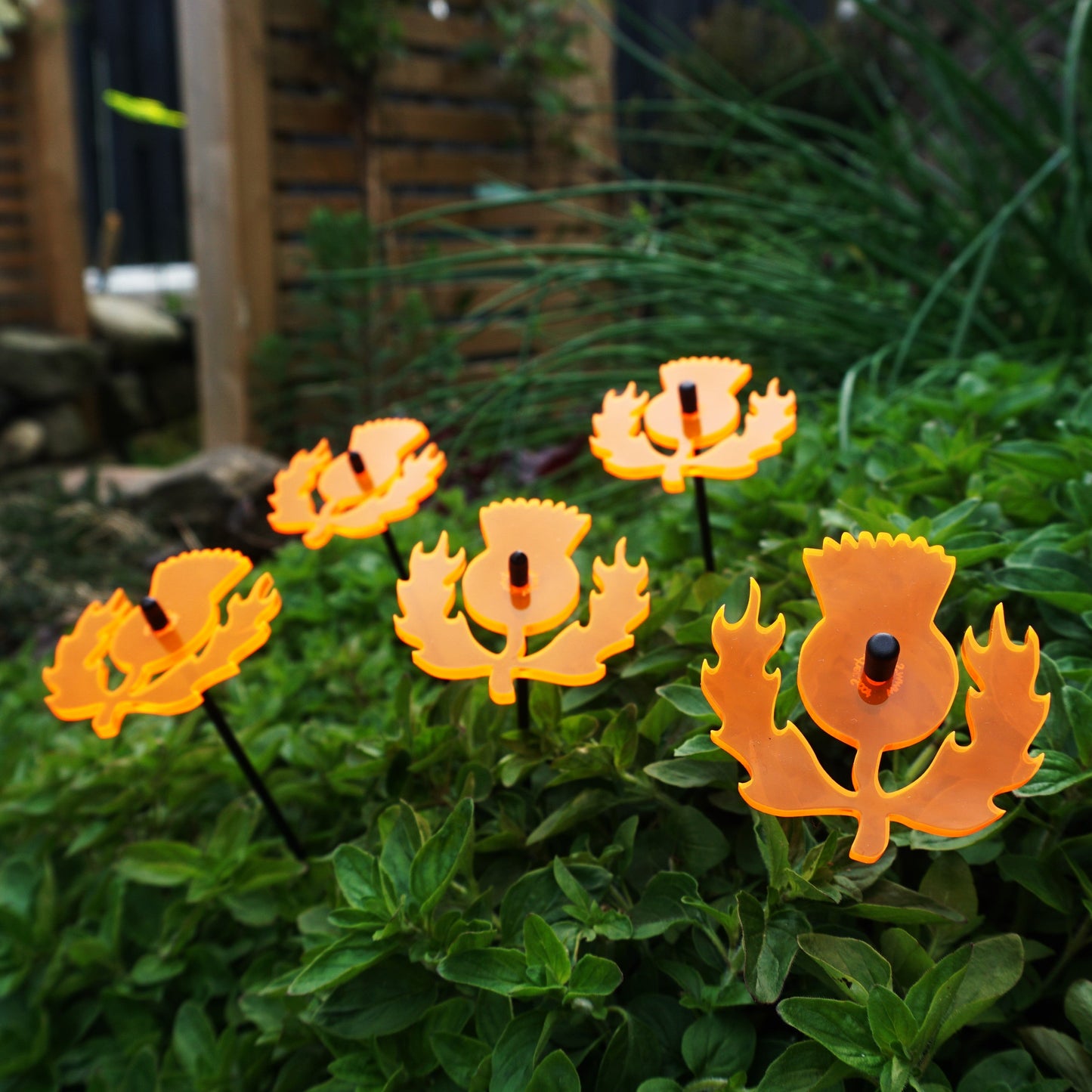 Small Garden Décor Ornaments Set of 5 'Scottish Thistle'