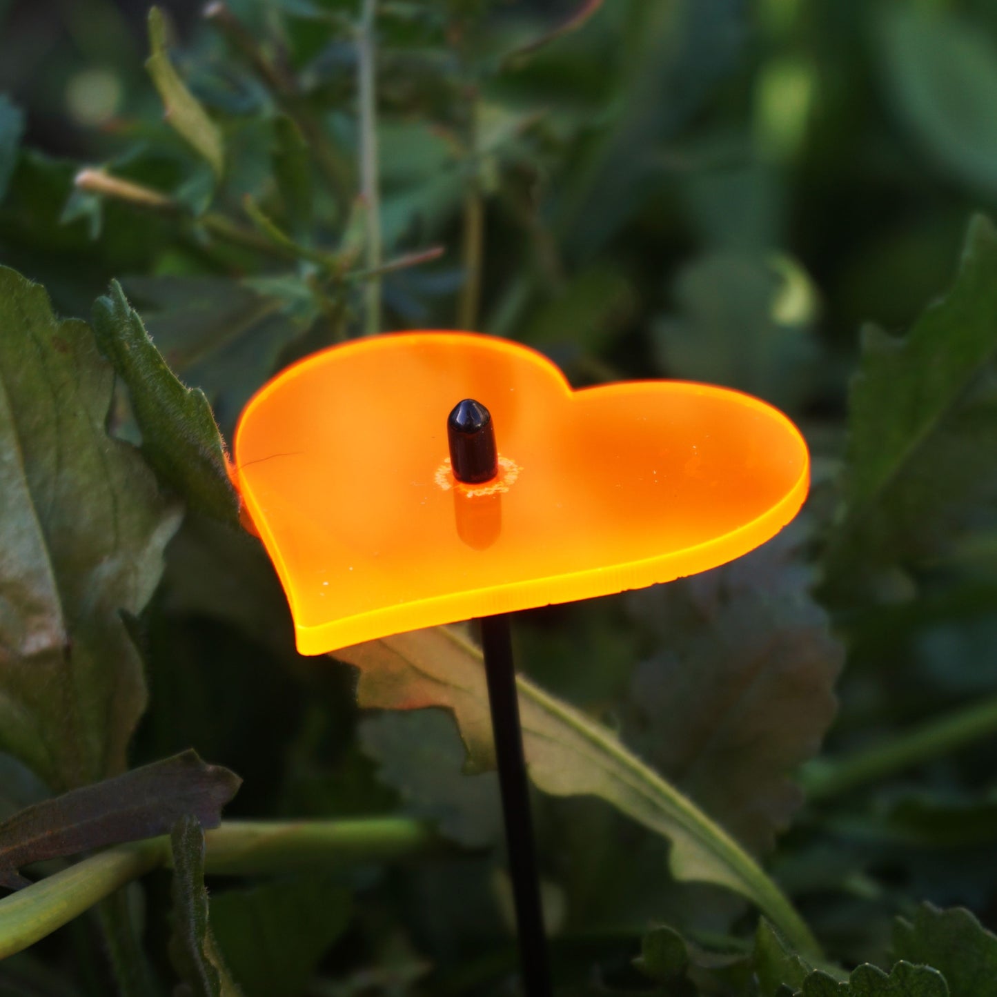 Small Garden Décor Ornaments Set of 5 'Hearts'