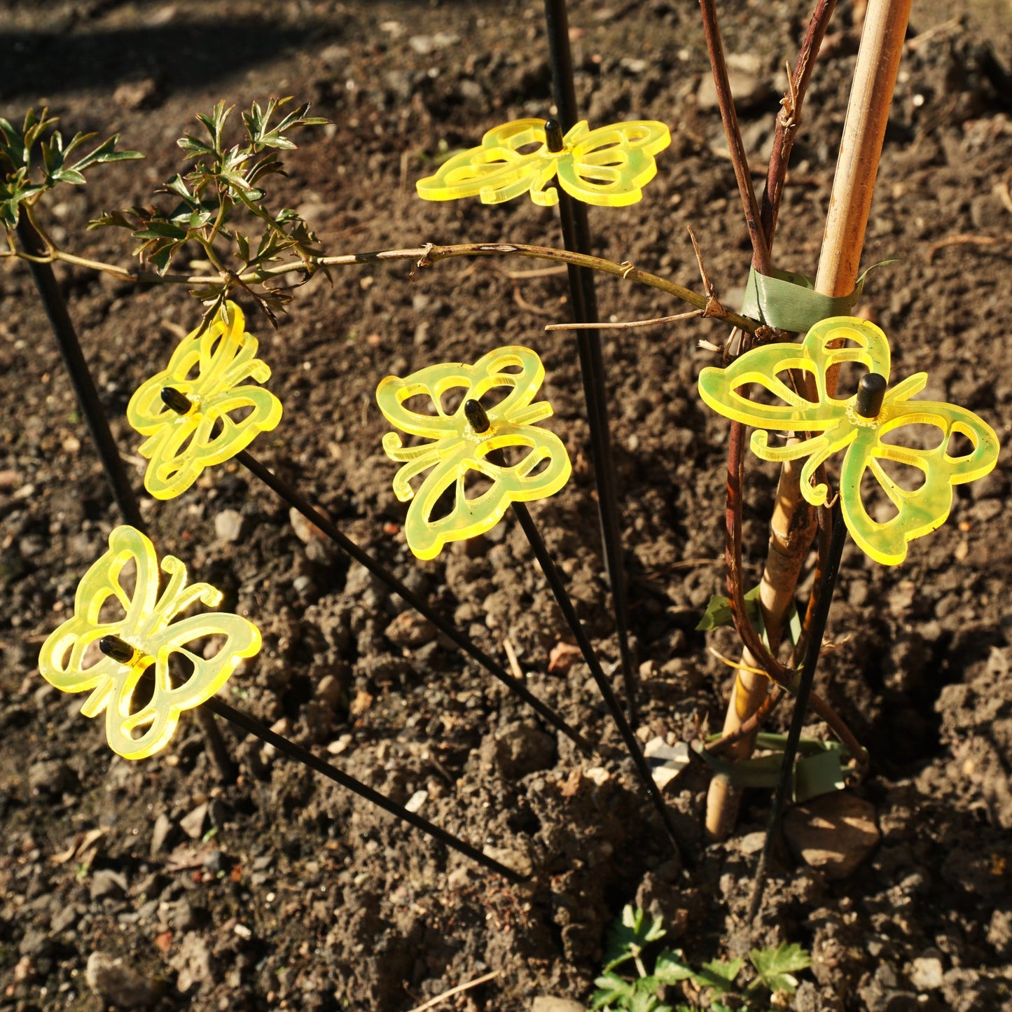 Large Garden Décor Ornaments Set of 5 'Comma Butterflies'