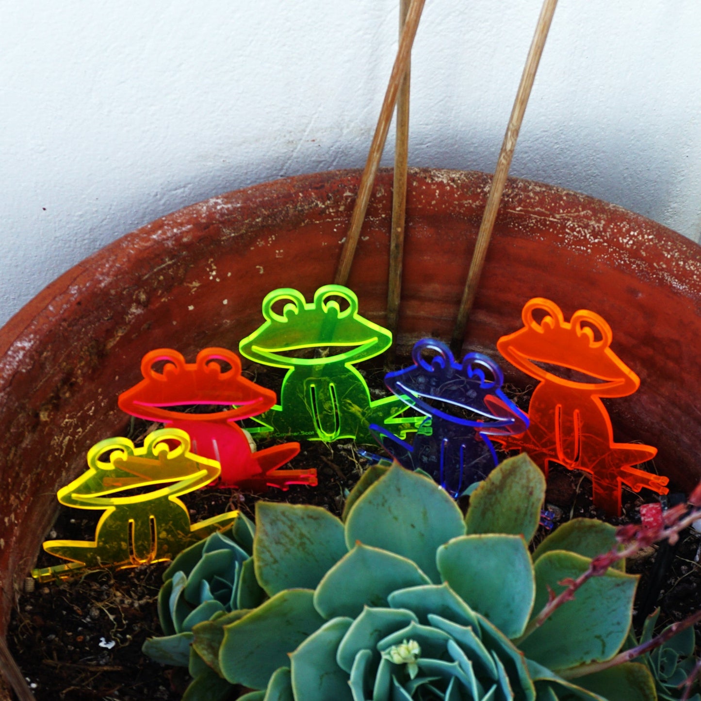 Garden Décor Ornament Stakes Set of 5 'Happy Frogs'