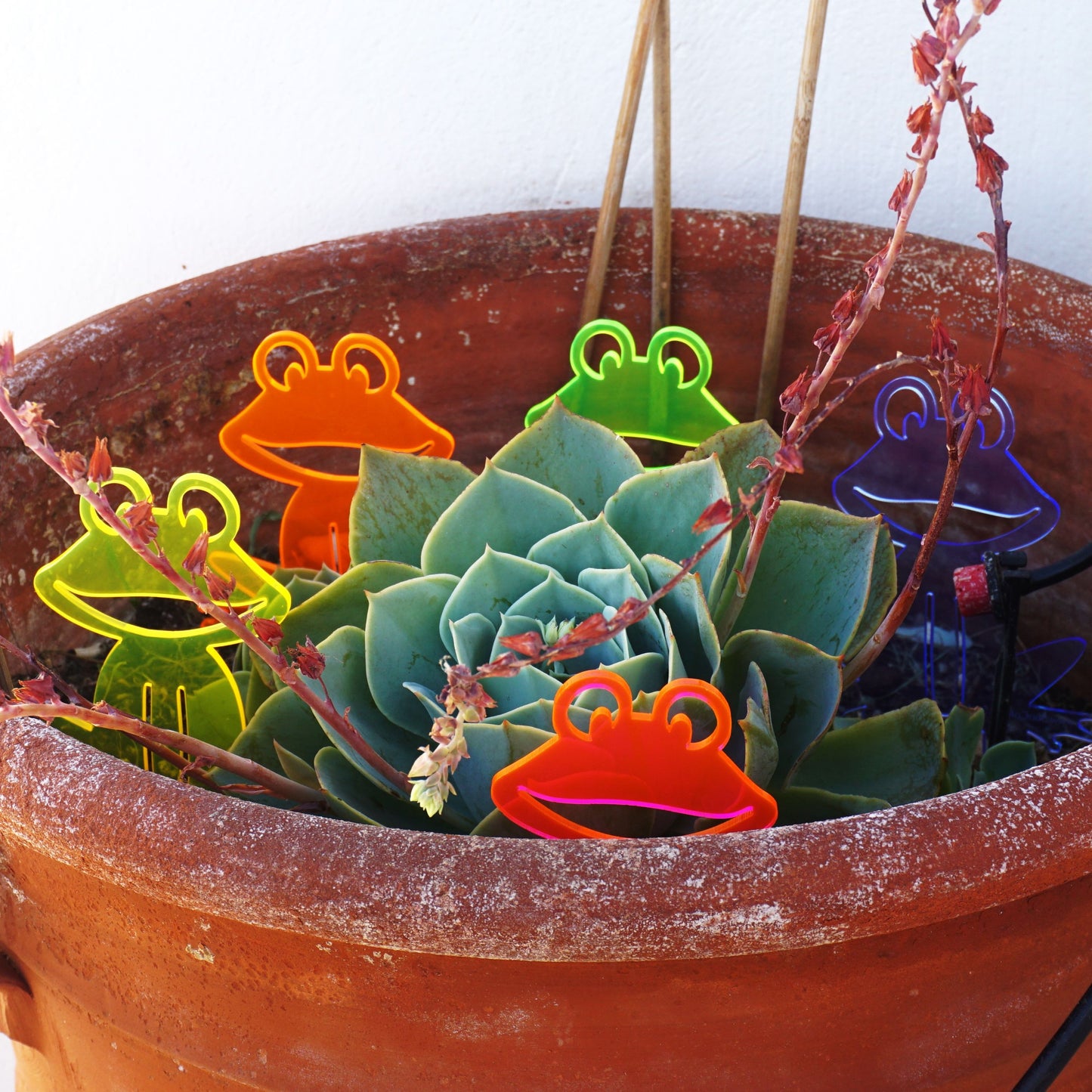 Garden Décor Ornament Stakes Set of 5 'Happy Frogs'