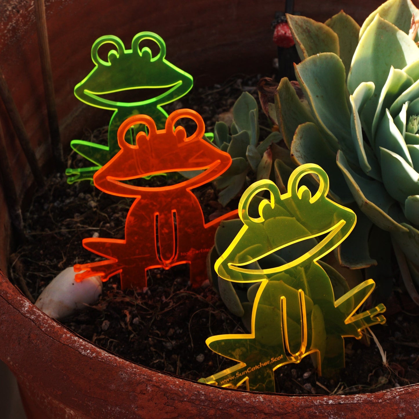 Garden Décor Ornament Stakes Set of 5 'Happy Frogs'