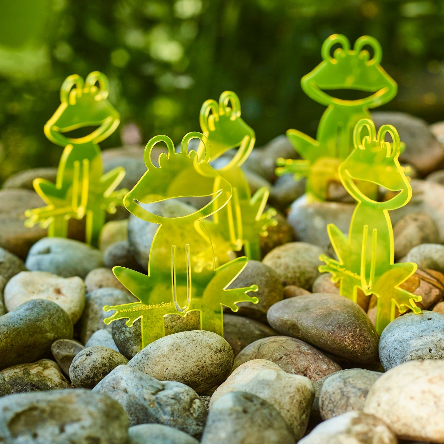 Garden Décor Ornament Stakes Set of 5 'Happy Frogs'