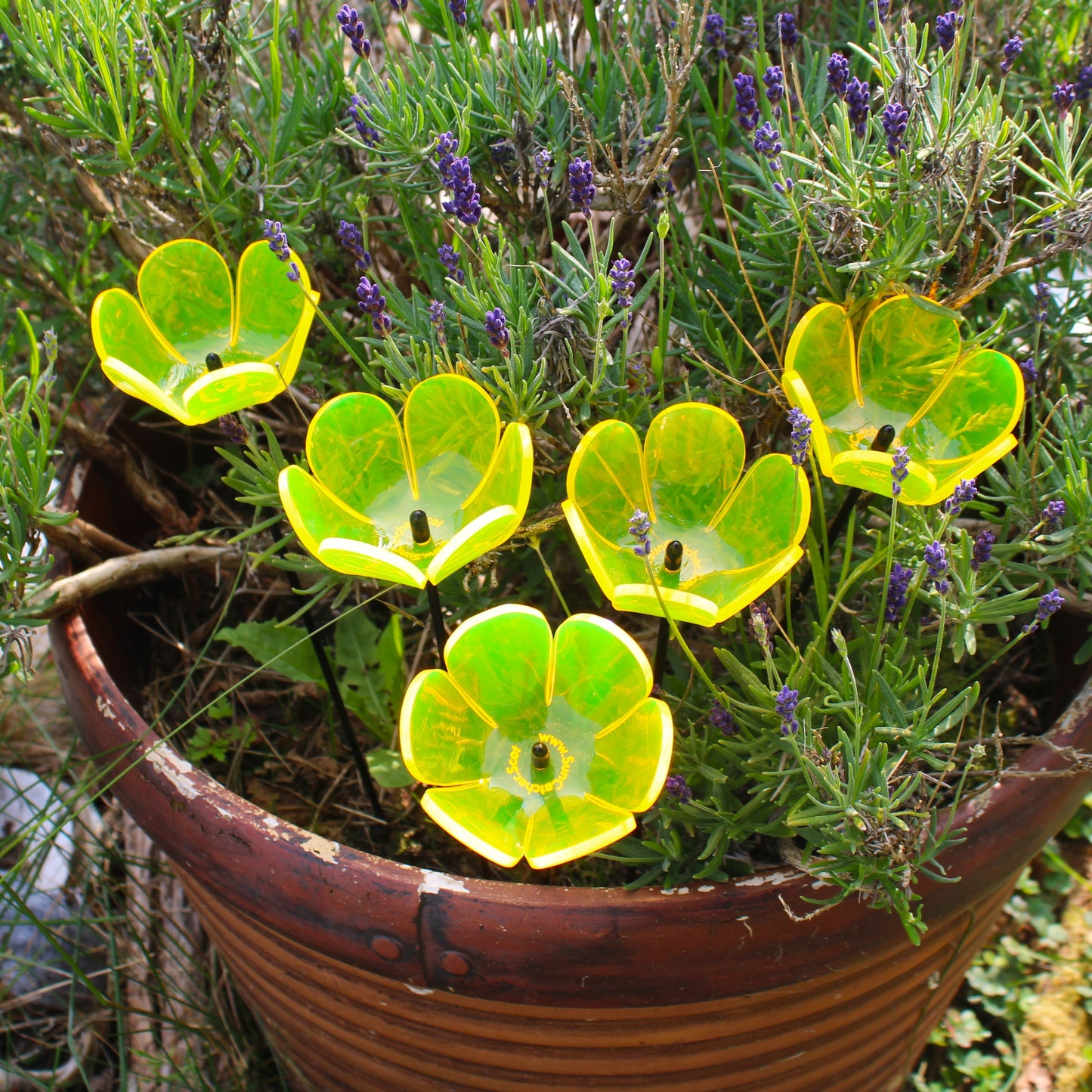 Small SunCatcher Garden Décor Ornament Set of 5 'Tulip'