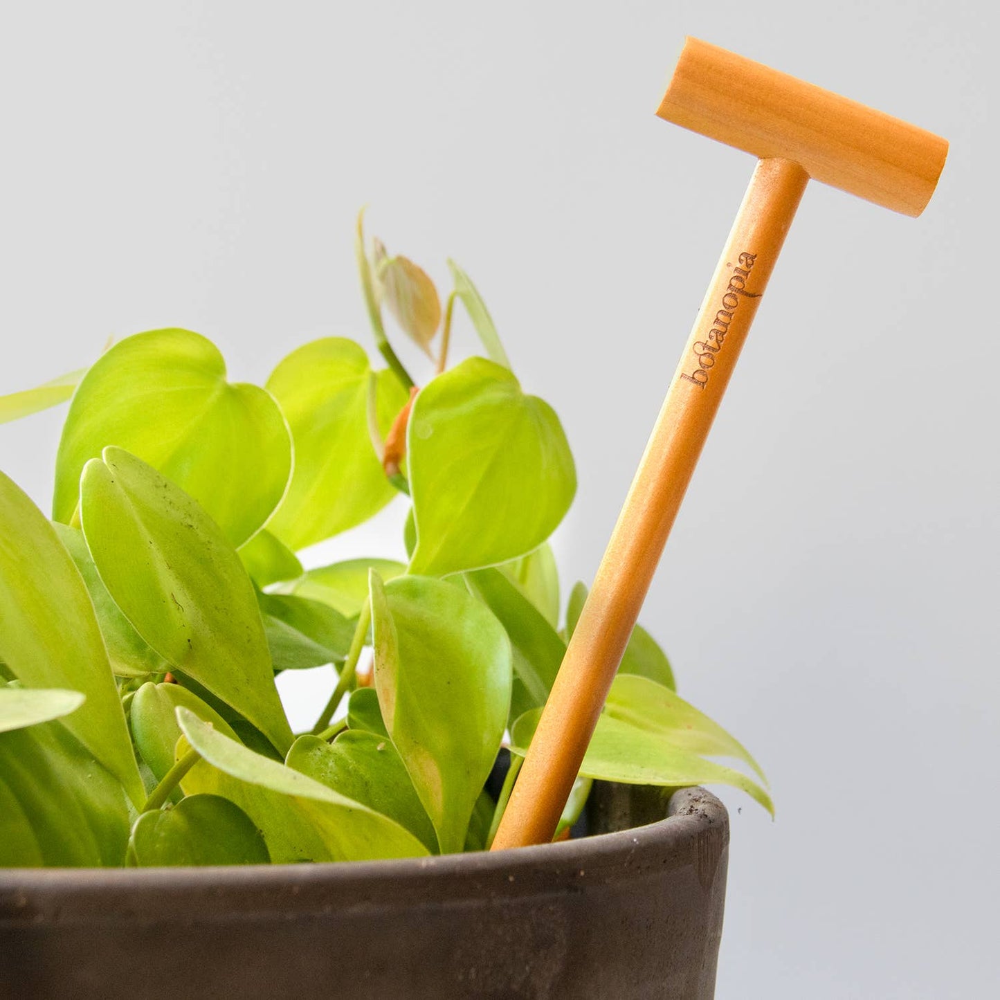 The Soil Checker - wooden soil probe to check soil moisture