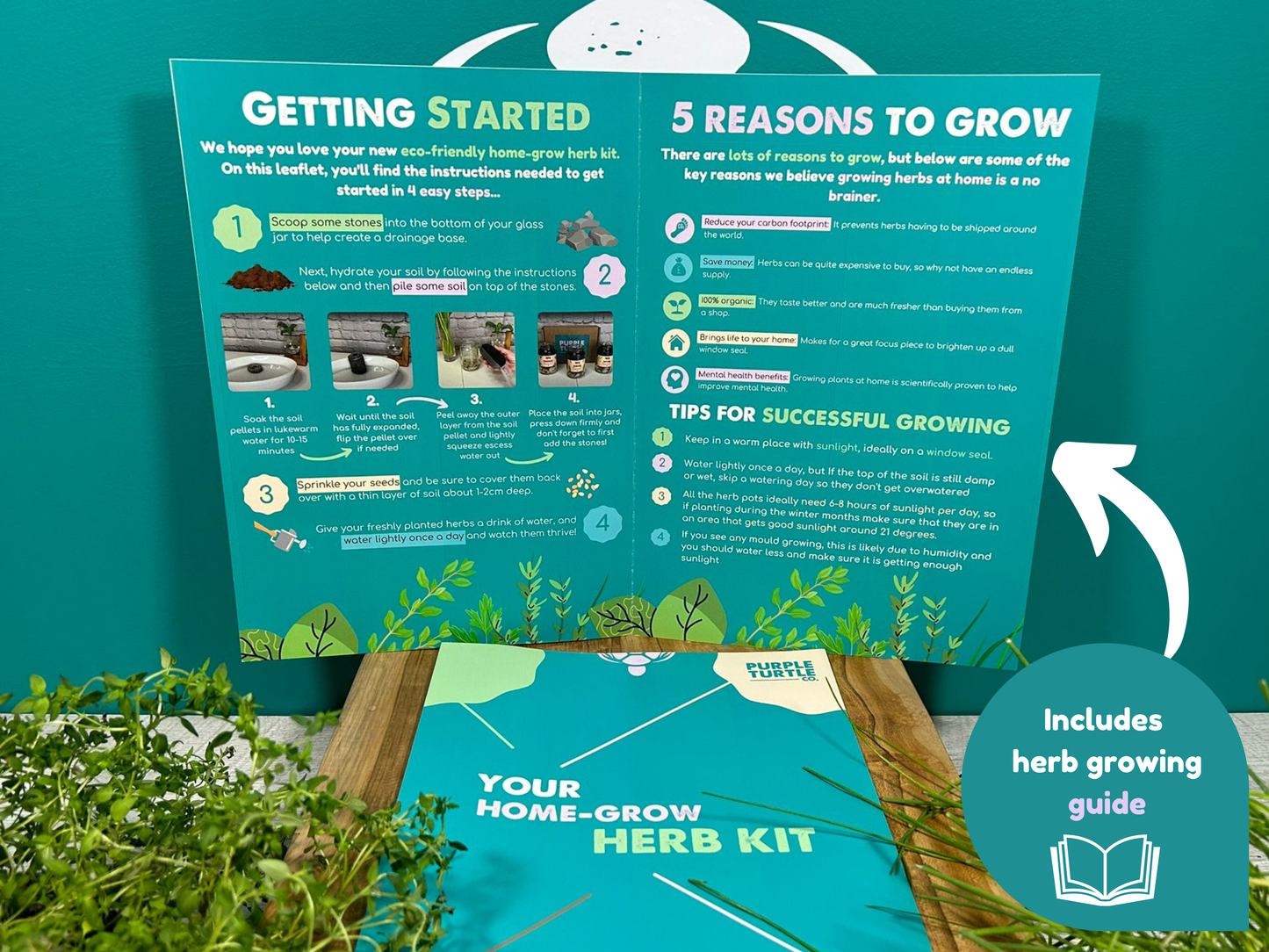 Grow Your Own Herbs Gift Set