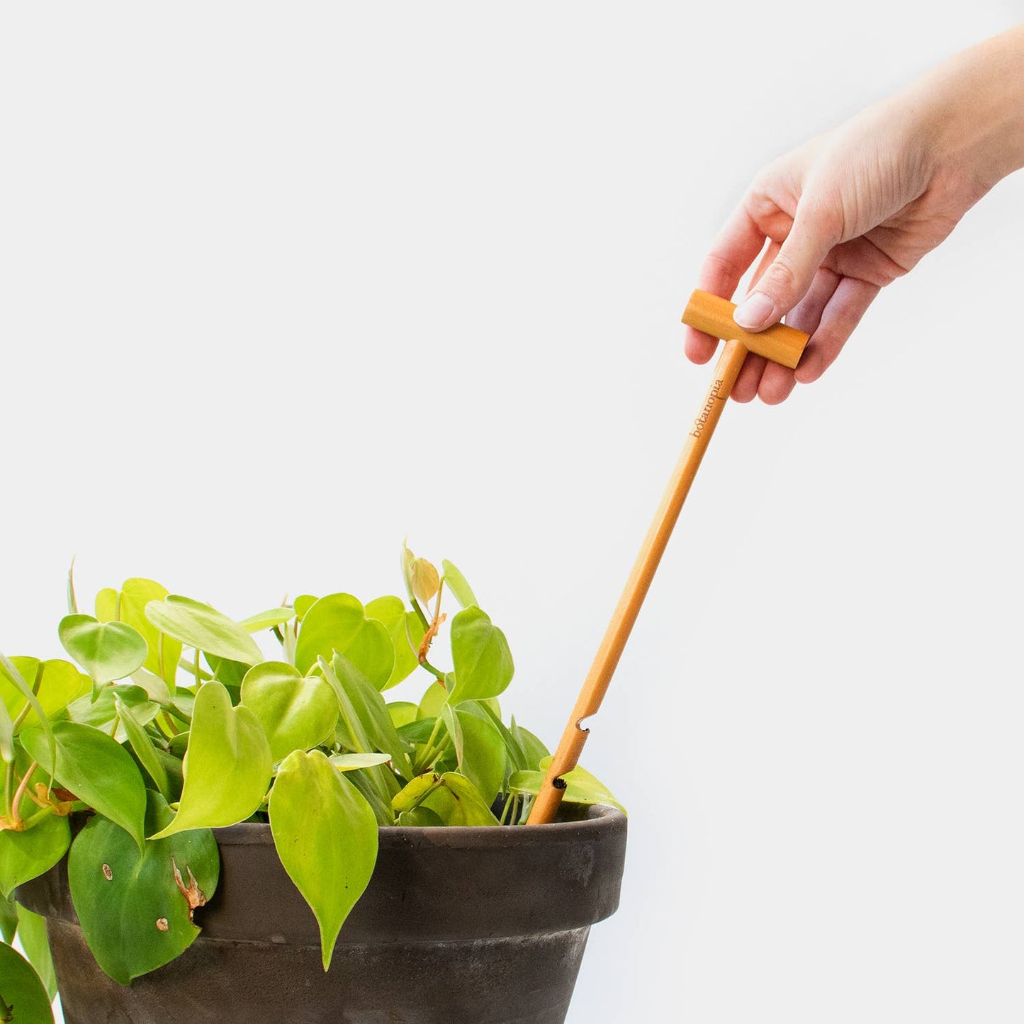The Soil Checker - wooden soil probe to check soil moisture