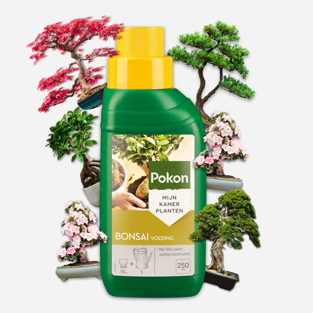 Pokon liquid plant food - Bonsai - 250ml