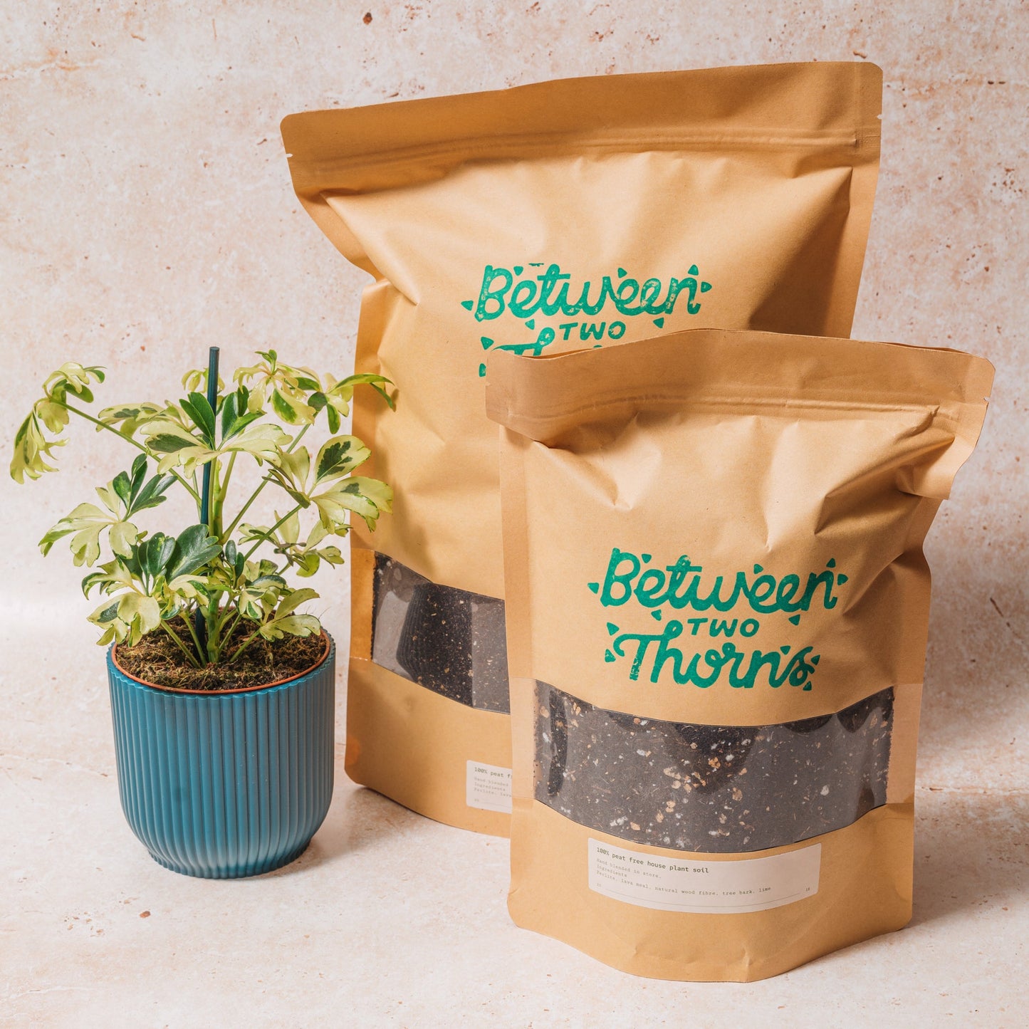 Peat-free Houseplant soil with substrates 500g & 1kg bags