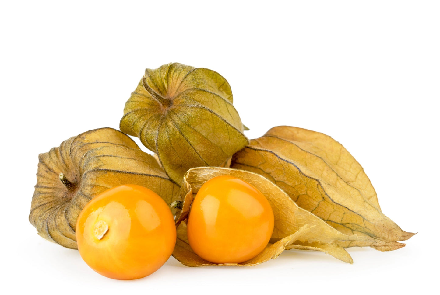 Hydroponic Fruit Seeds