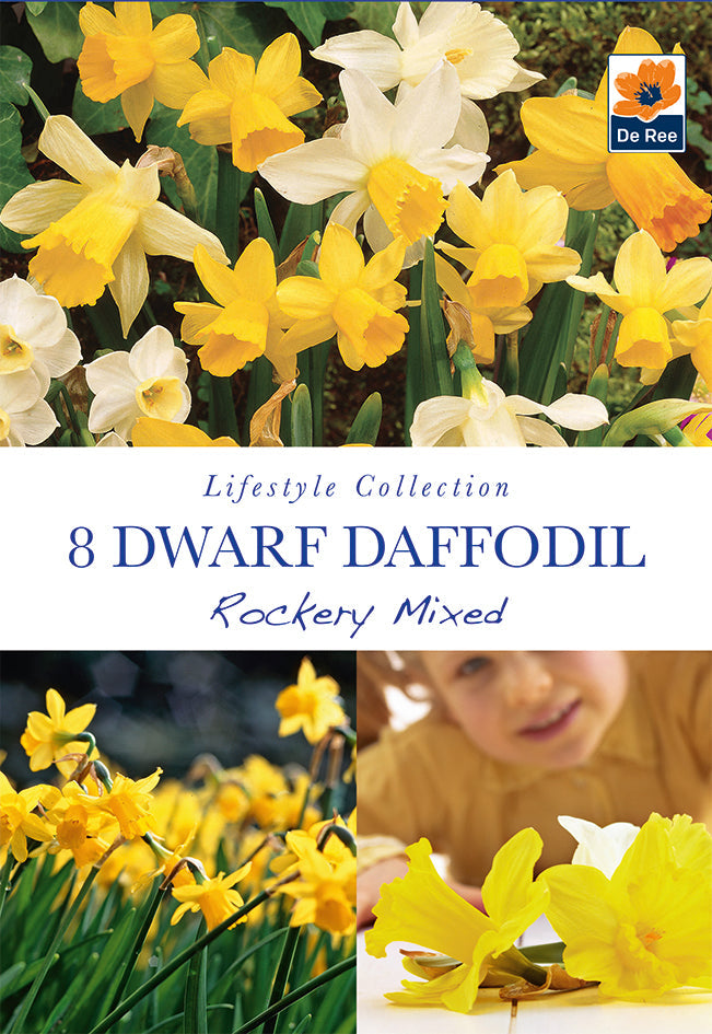 Dwarf Daffodil 'Rockery Mixed'(8 Bulbs)