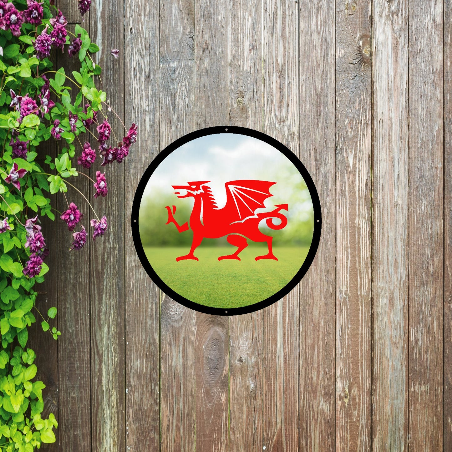 Round SunCatcher Garden Mirror Welsh Dragon