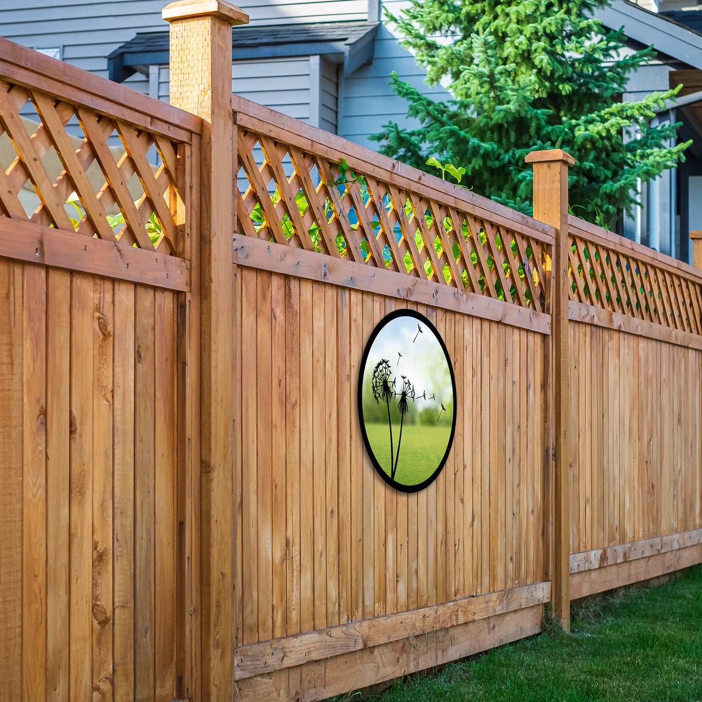 SunCatcher Garden Mirror Round Dandelions Range of Sizes