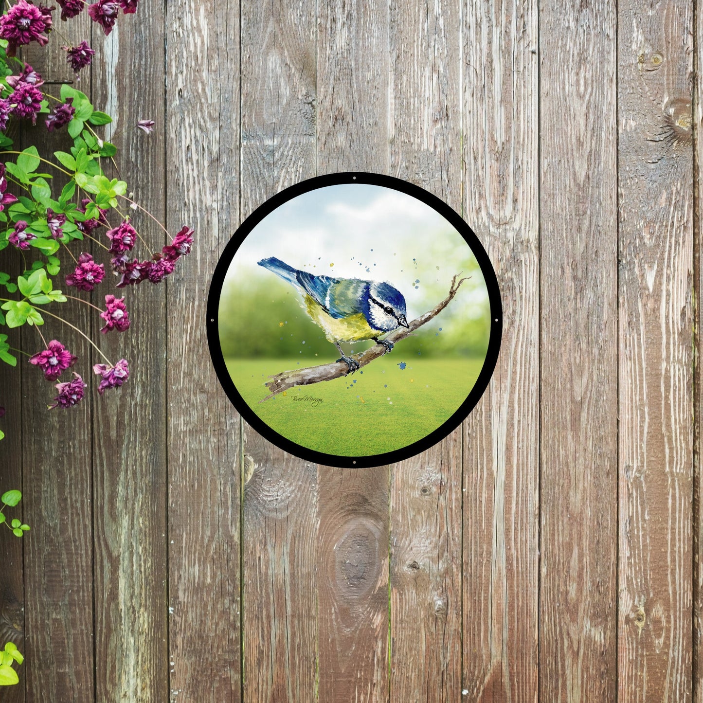 SunCatcher Garden Mirror Betty, the Blue Tit bird Illustrations by Bree Merryn