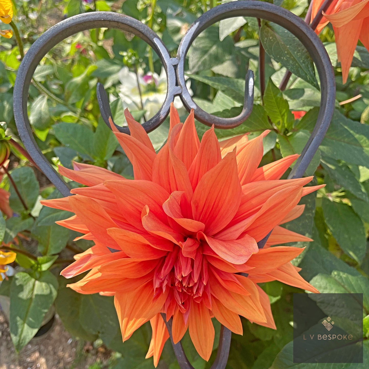 Heart Shaped Plant Support & Garden Feature