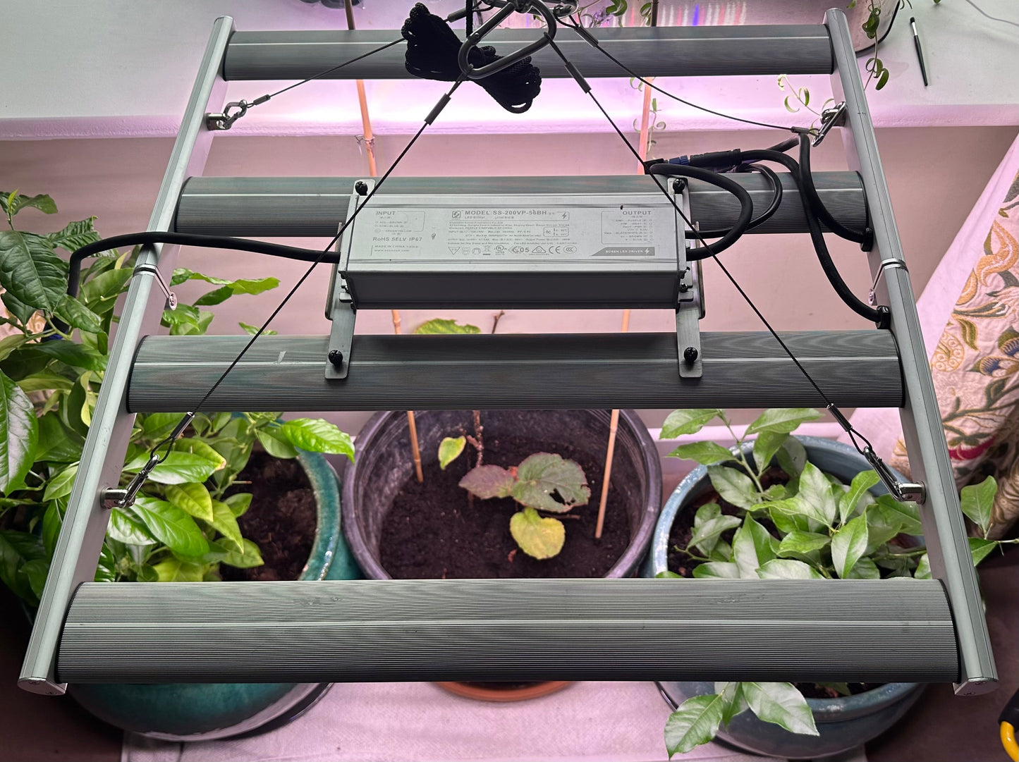 Overhead 200W LED Grow Light | Full Spectrum Hydroponics