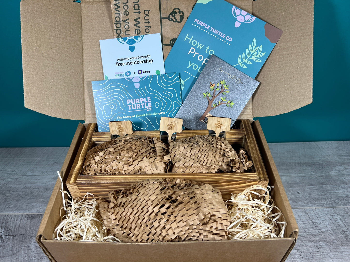 Plant Propagation Gift Set #5