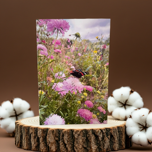 Summers Day Greeting Card