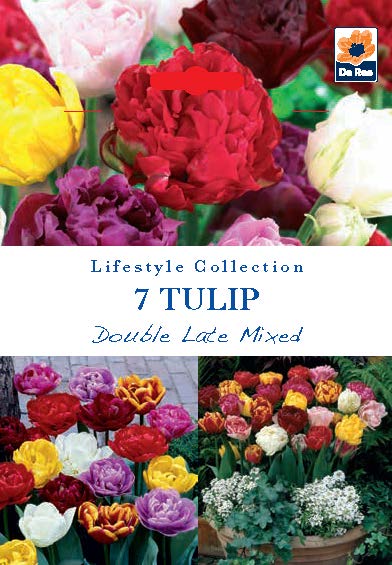Tulip Double Late Mixed (5 Bulbs)