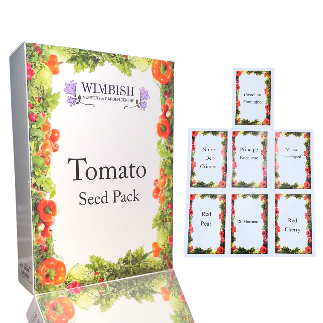 Tomato Seeds