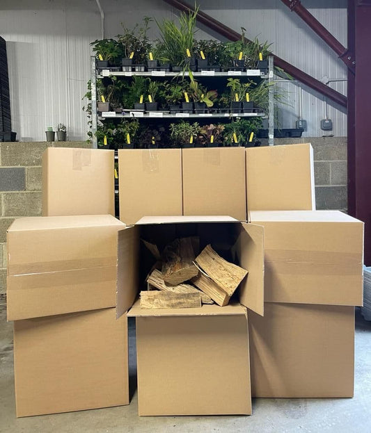 British Kiln-Dried Logs - Approx 22kgs per box
