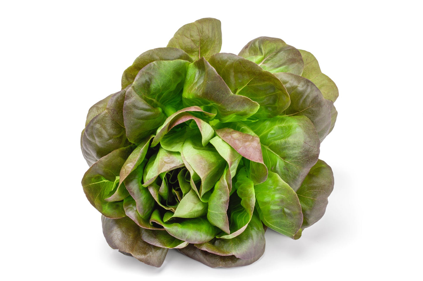 Leafy Greens Power Pack