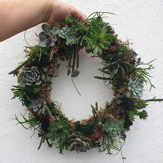 02/04/2026 at 6pm Living succulent wreath workshop