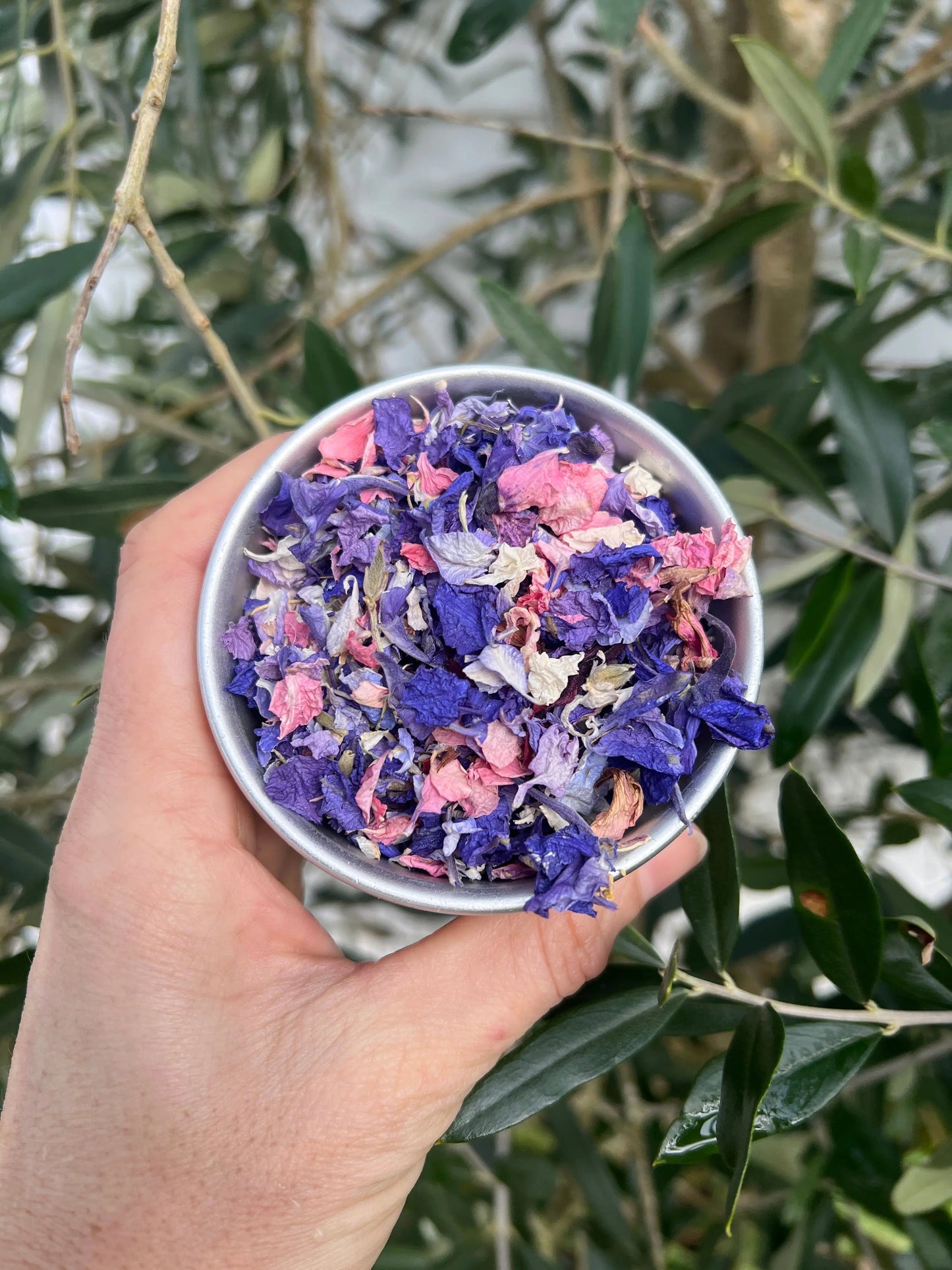 Larkspur Confetti (Mixed Colours) 4g
