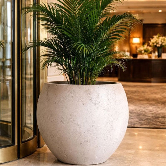 Orbello | Truffle – 70cm Extra Large Concrete Sphere Planter – 207L Round Plant Pot