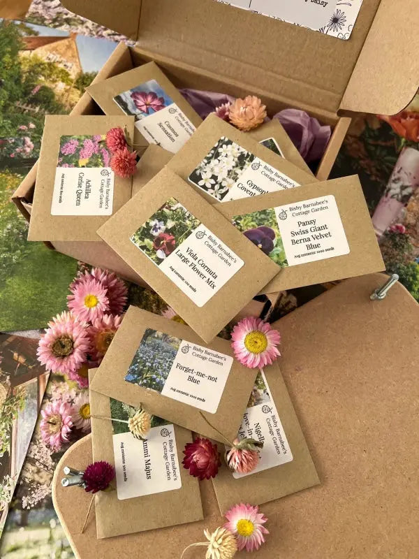 Perfect for Pressing Seed Box plus Wooden Flower Press