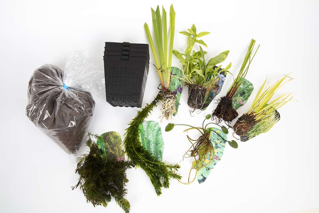 Pond Starter Packs - Pond topup Packs - Oxygenating - Compost and Pots Potted