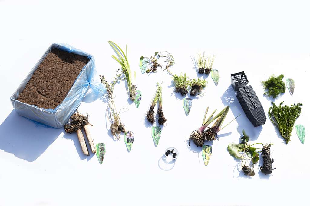 Pond Starter & top up Packs - Oxygenating - Compost and Pots