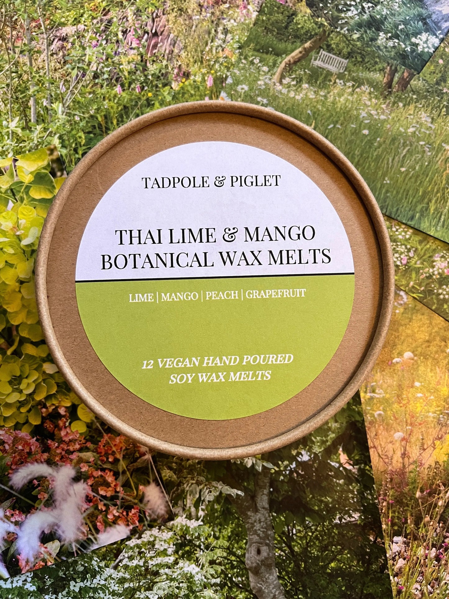 Thai Lime & Mango Botanical Wax Melts